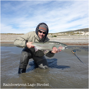 Rainbow trout South America